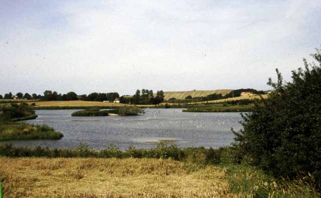 hoejbysø