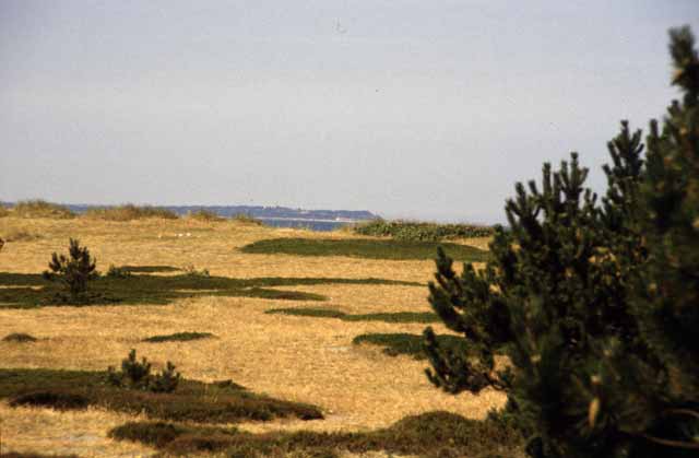 Rørvig Strand