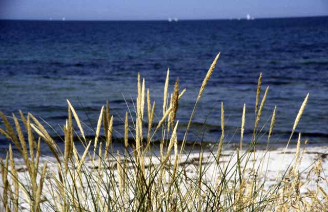 Rørvig Strand