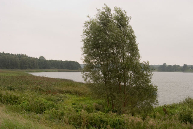 Halbinsel