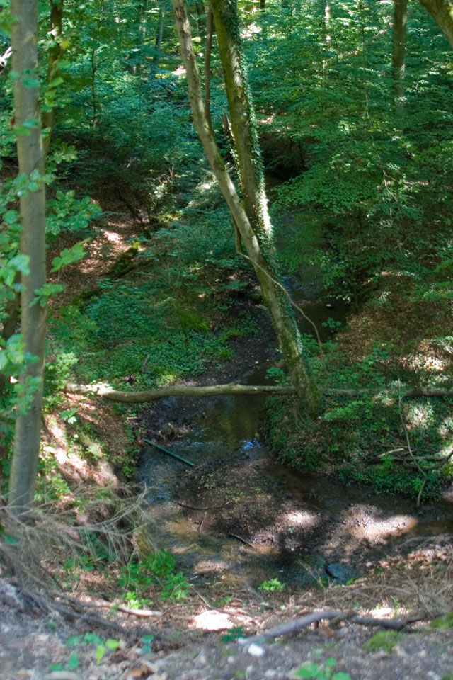 Klaasbachtal