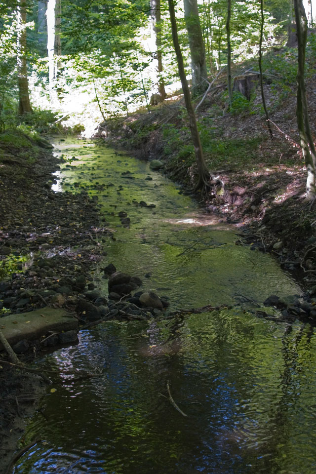 Klaasbachtal