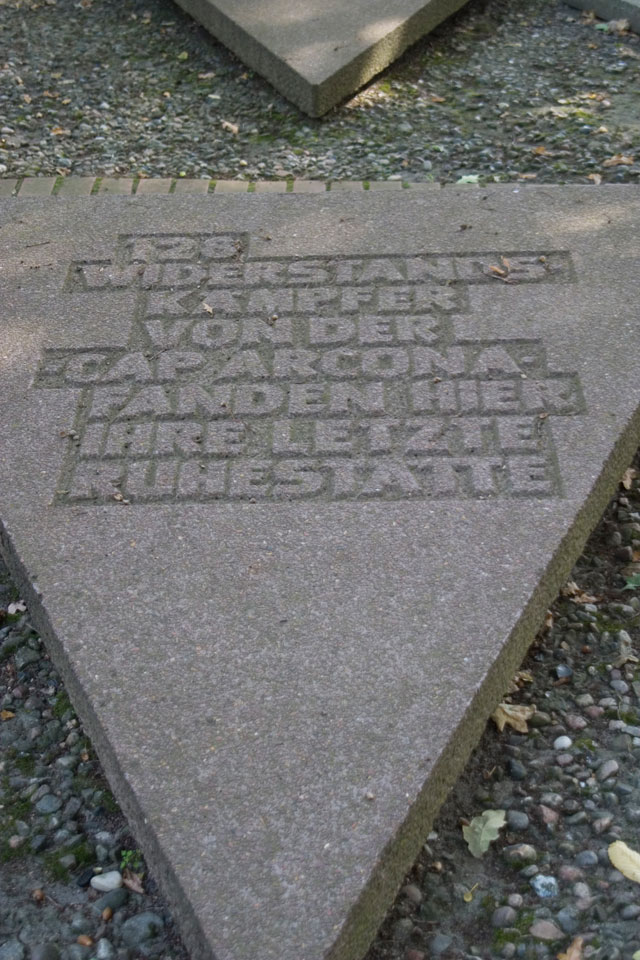 Schwarzer Busch